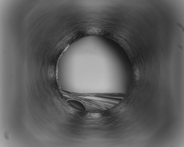 X0000099930665200806061455