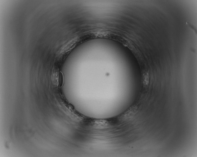 X0000099930666200806061455