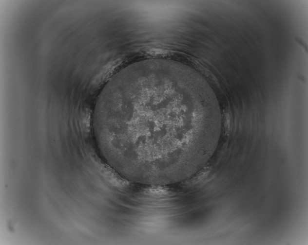 X0000099930668200806061455