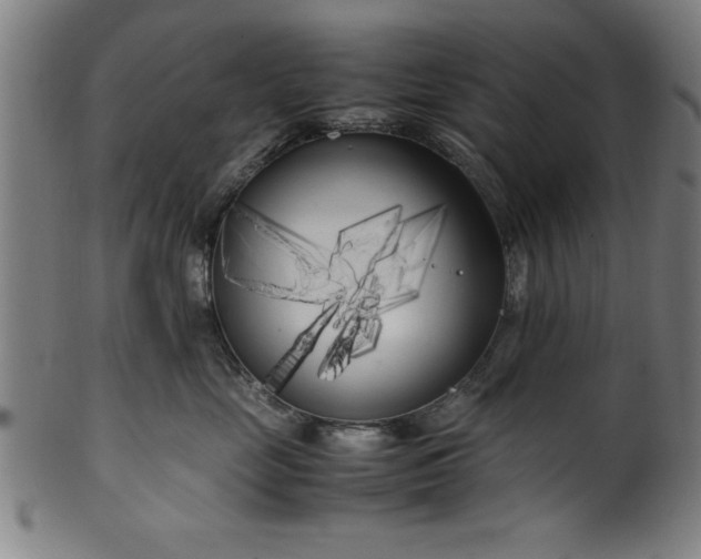 X0000099930669200806061455