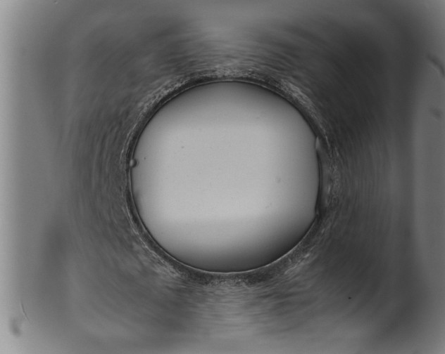 X0000099930673200806061455