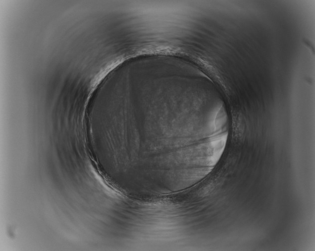 X0000099930674200806061455