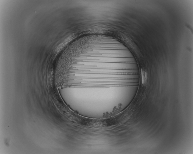 X0000099930675200806061455