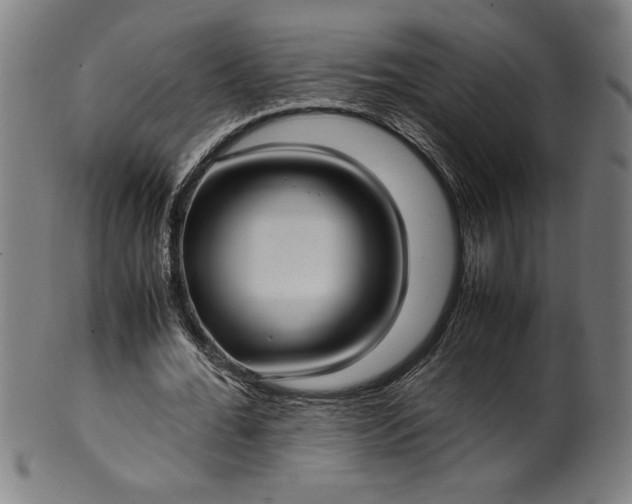 X0000099930676200806061455