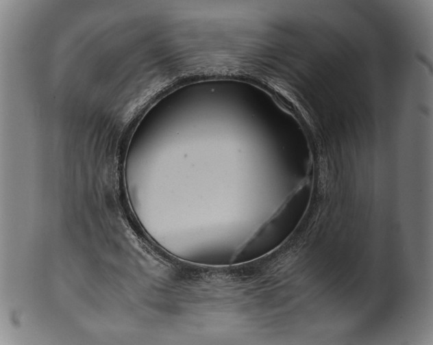 X0000099930677200806061455