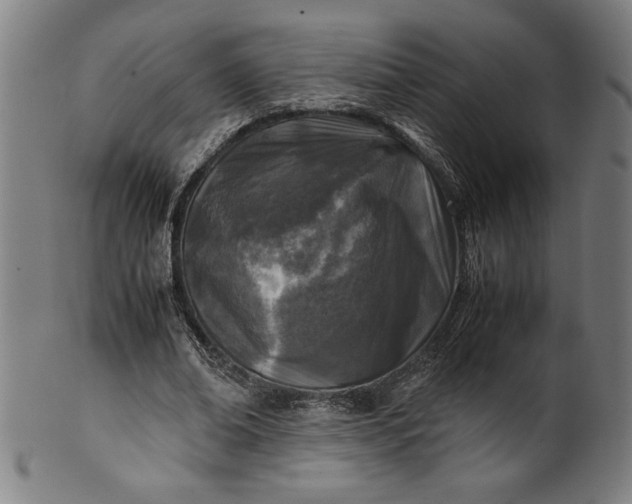 X0000099930678200806061455