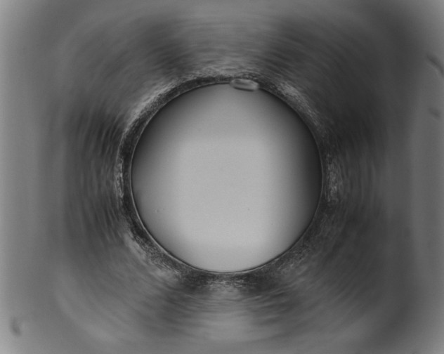 X0000099930680200806061455