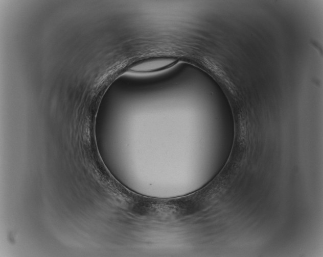 X0000099930681200806061455