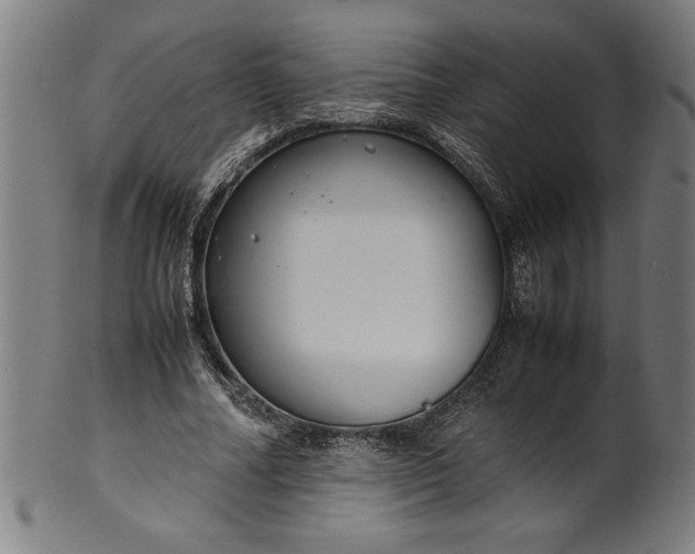 X0000099930682200806061455