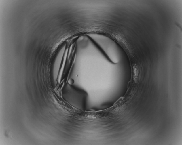 X0000099930684200806061455