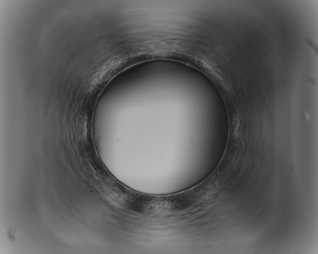 X0000099930685200806061455