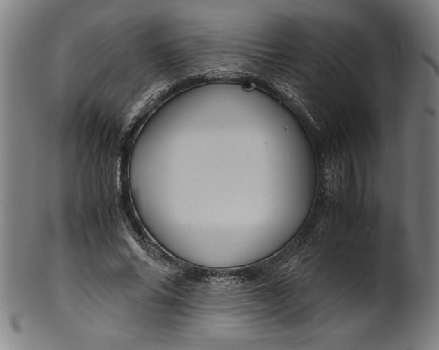 X0000099930686200806061455