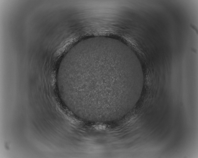 X0000099930687200806061455