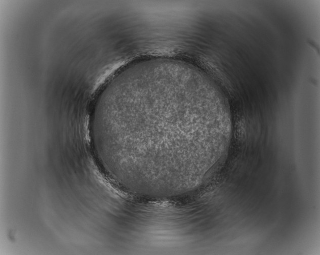 X0000099930688200806061455