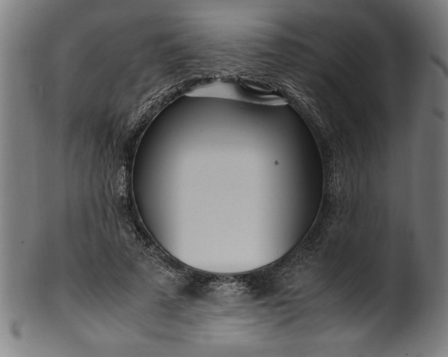 X0000099930689200806061455