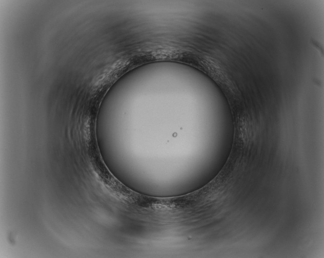 X0000099930690200806061455