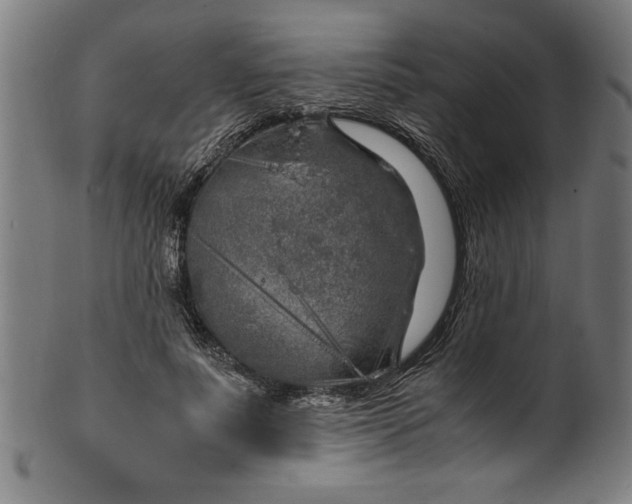 X0000099930691200806061455