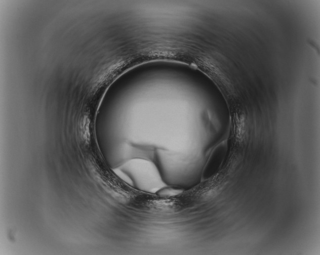 X0000099930692200806061454