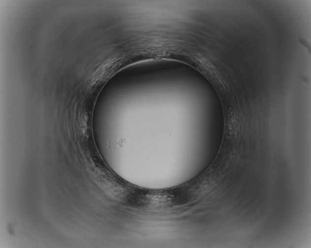 X0000099930693200806061454