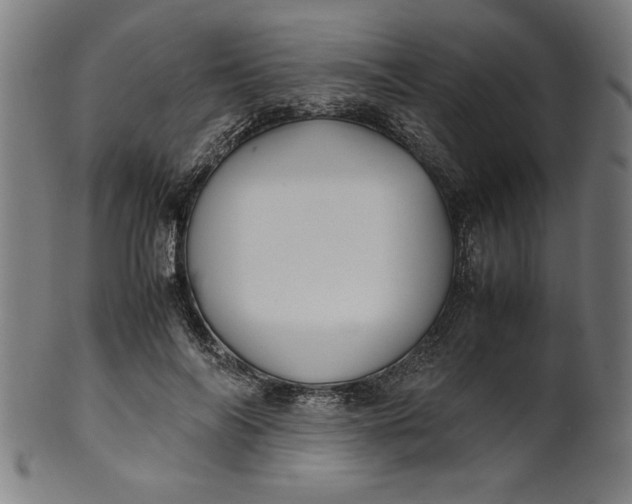 X0000099930694200806061454