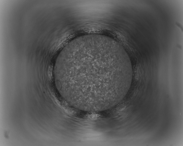 X0000099930695200806061454