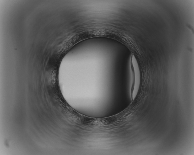 X0000099930697200806061454