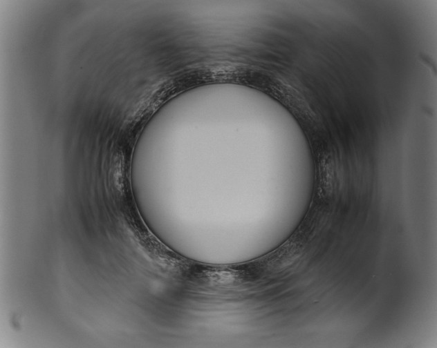 X0000099930698200806061454