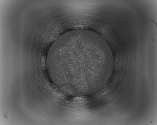 X0000099930699200806061454