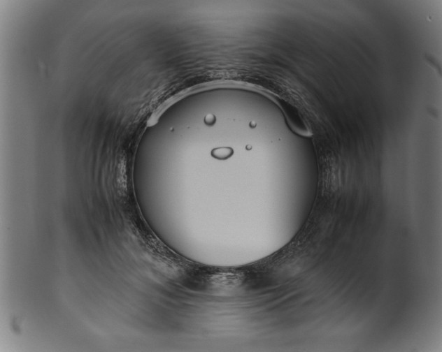 X0000099930700200806061454