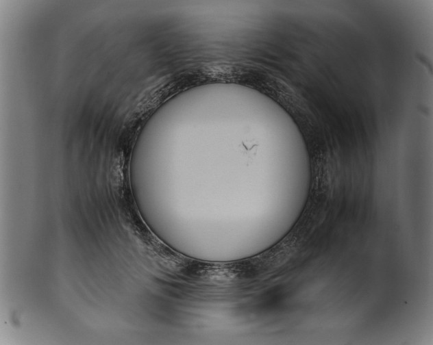 X0000099930702200806061454