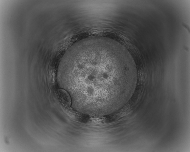 X0000099930703200806061454