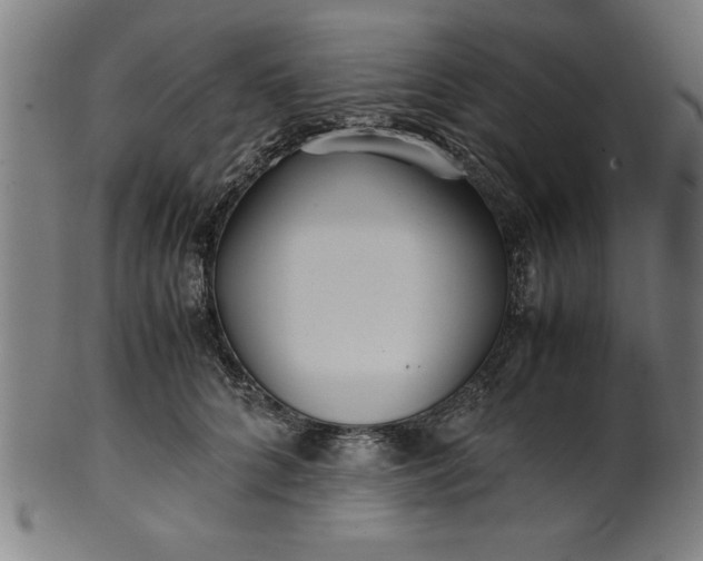 X0000099930704200806061454