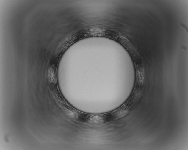 X0000099930705200806061454