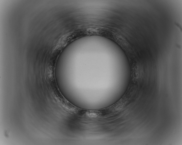 X0000099930706200806061454