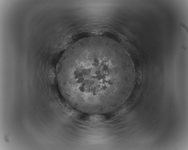 X0000099930707200806061454