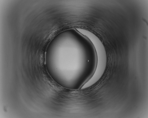 X0000099930708200806061454