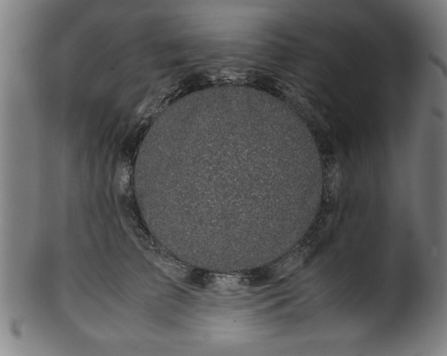 X0000099930709200806061454