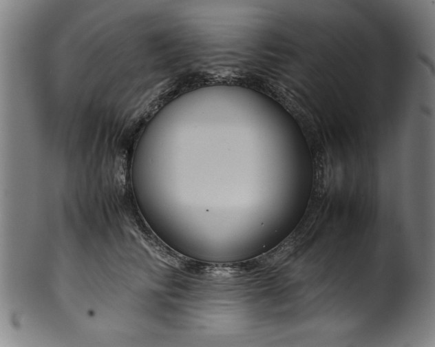 X0000099930710200806061454