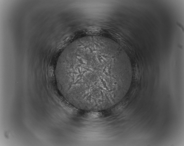 X0000099930711200806061454