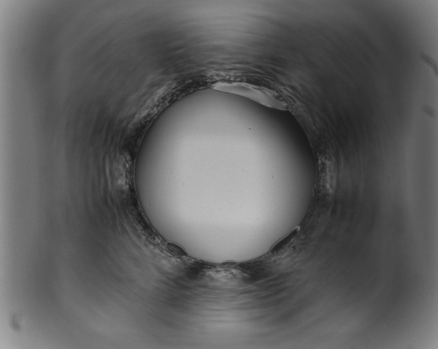 X0000099930712200806061454