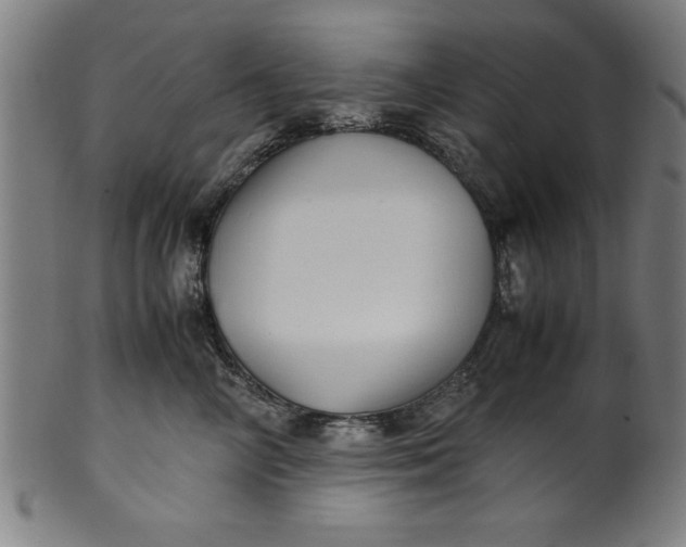 X0000099930714200806061454