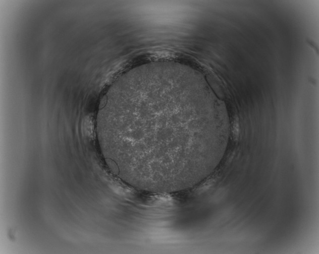 X0000099930715200806061454