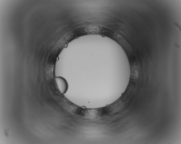 X0000099930717200806061454