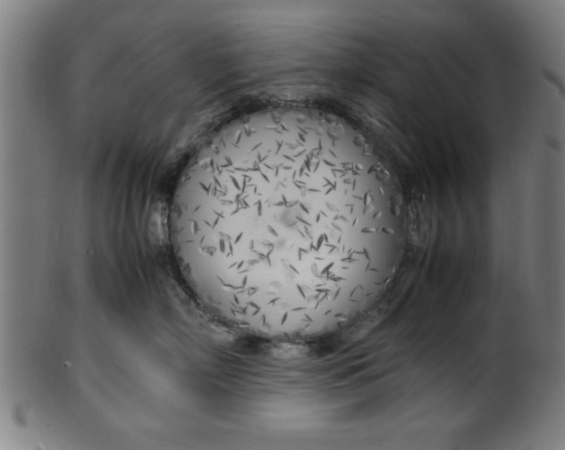 X0000099930718200806061454