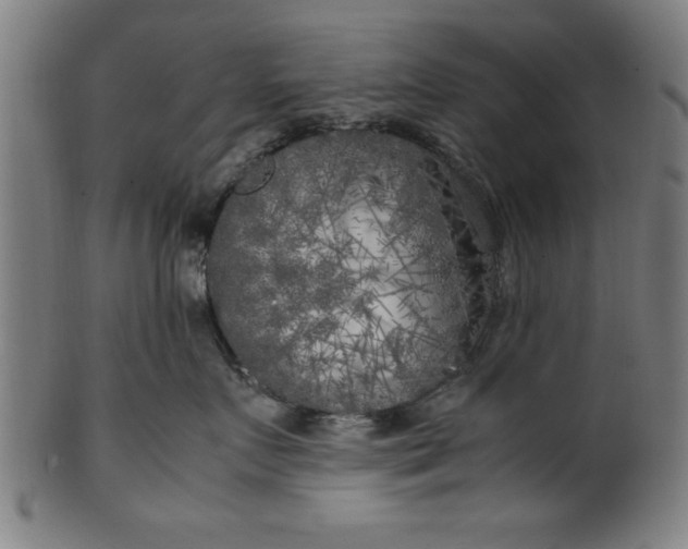 X0000099930719200806061454