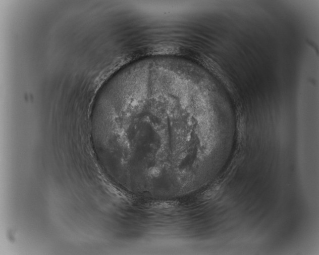 X0000099930721200806061453