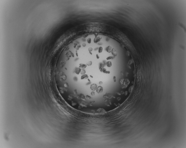 X0000099930722200806061453