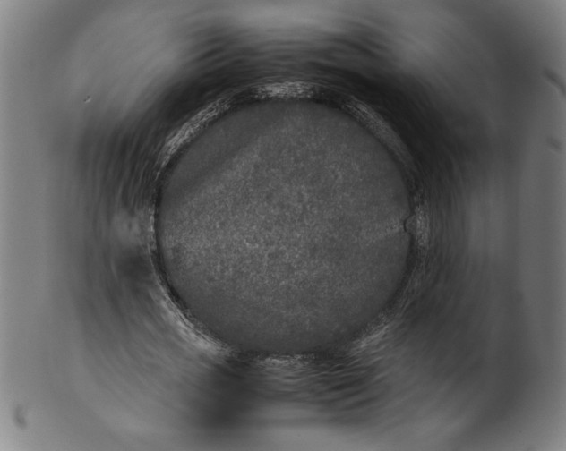 X0000099930725200806061453