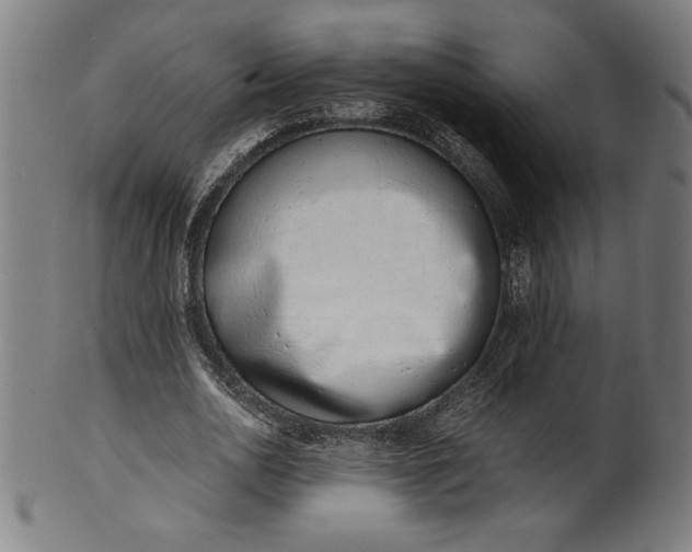 X0000099930726200806061453