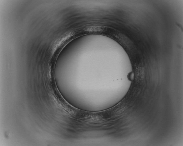 X0000099930727200806061453